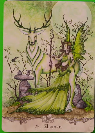 Fairy Wisdom Oracle